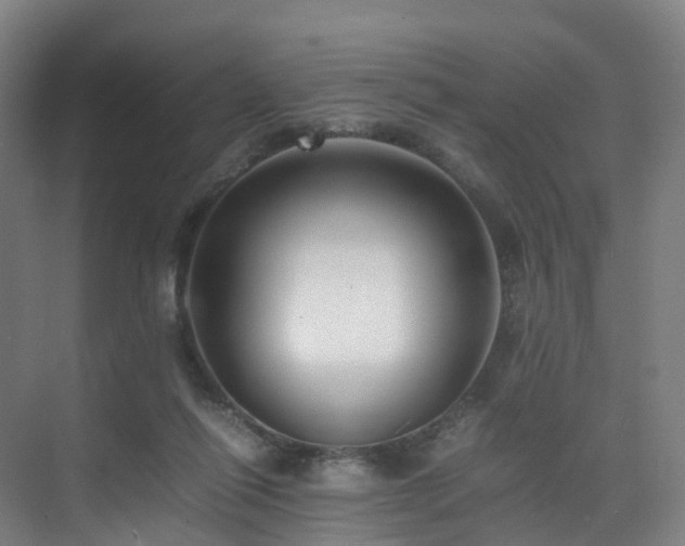 X0000075840262200609151312