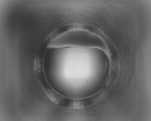 X0000075840264200609151312