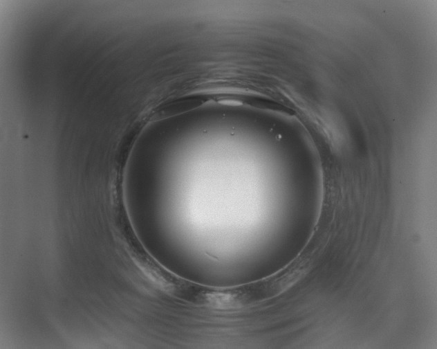 X0000075840265200609151312