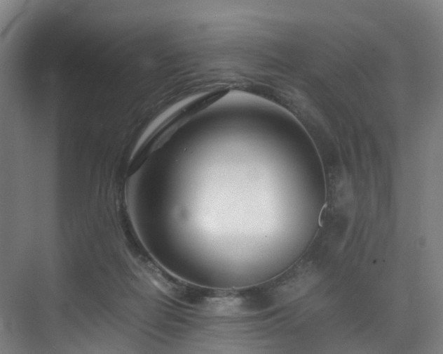 X0000075840266200609151312