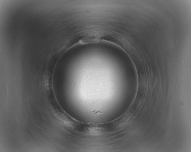 X0000075840268200609151312