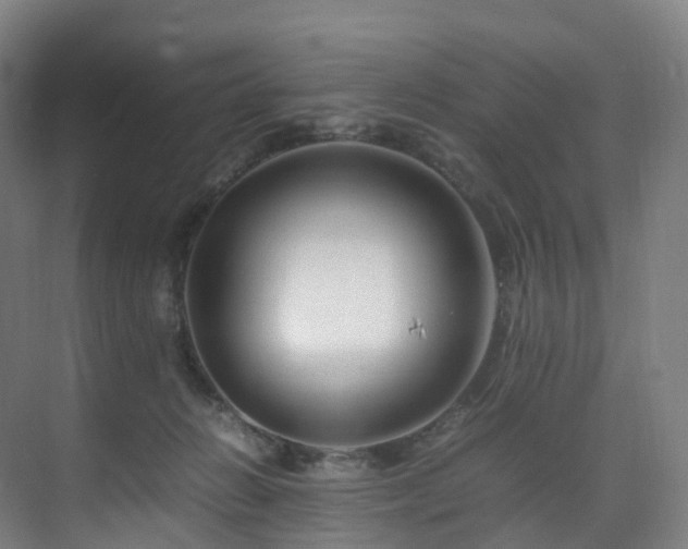 X0000075840270200609151312