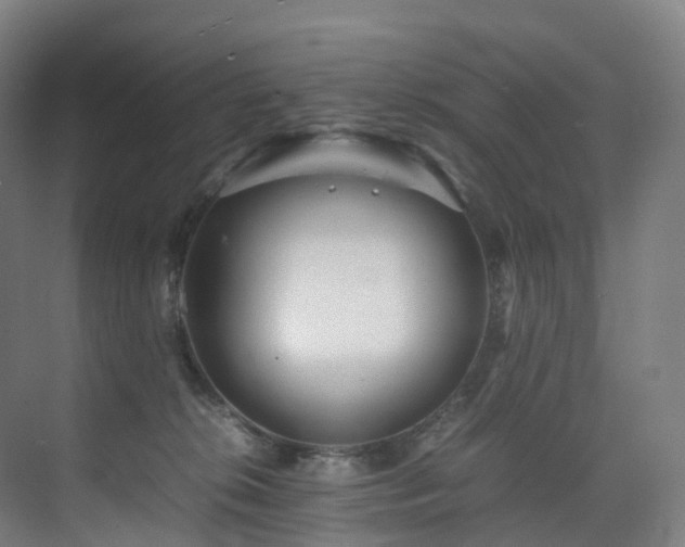 X0000075840276200609151312