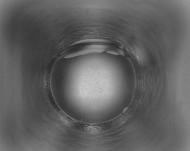 X0000075840277200609151312