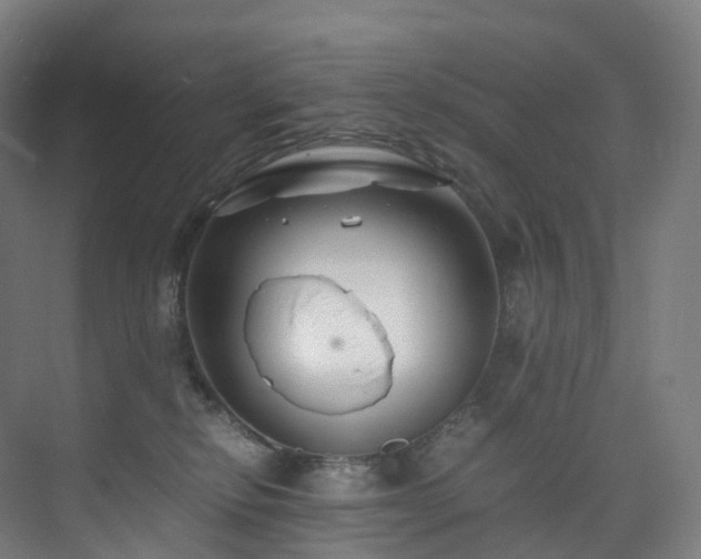 X0000075840278200609151312