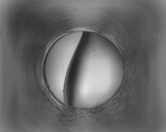 X0000075840289200609151312