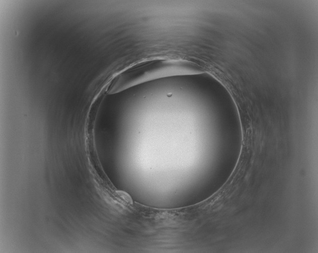 X0000075840290200609151312