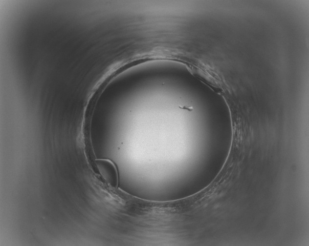 X0000075840292200609151311