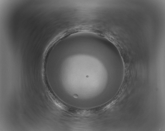 X0000075840293200609151311