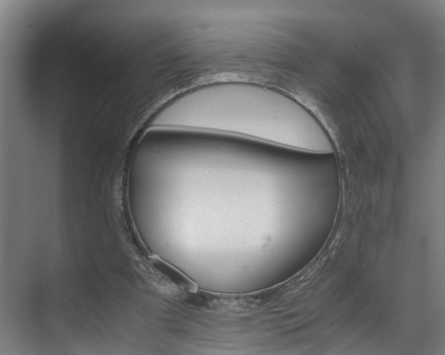 X0000075840297200609151311