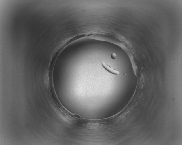 X0000075840298200609151311