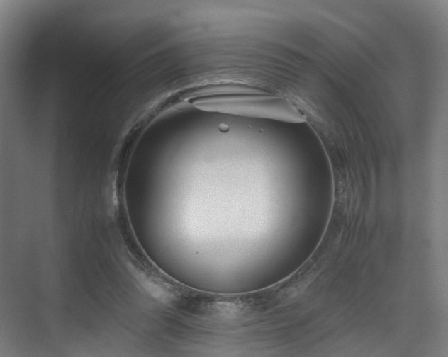 X0000075840302200609151311