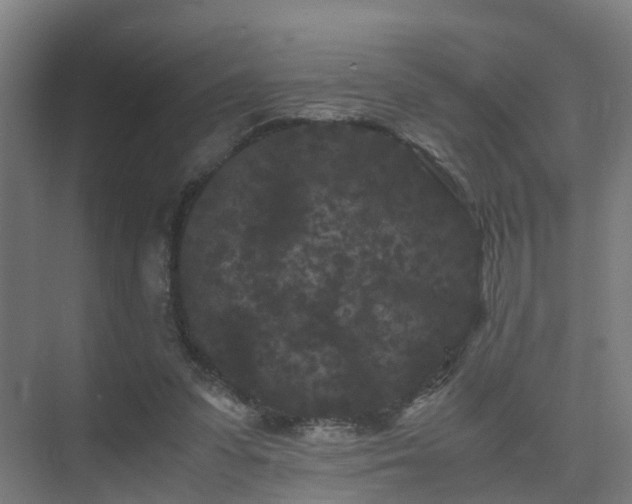 X0000075840303200609151311