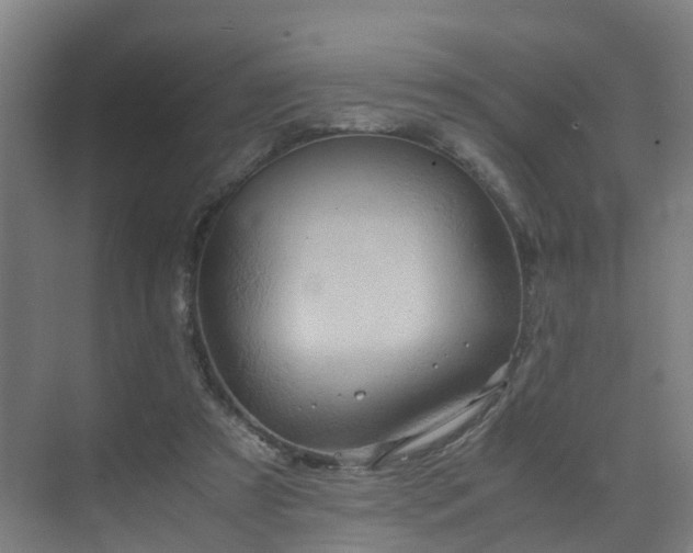 X0000075840305200609151311