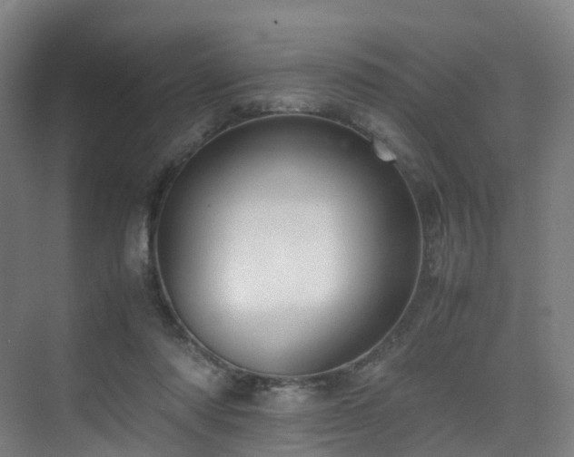 X0000075840310200609151311