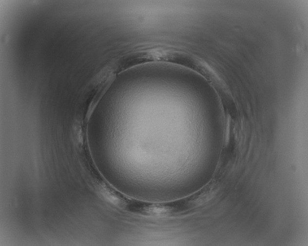 X0000075840313200609151311