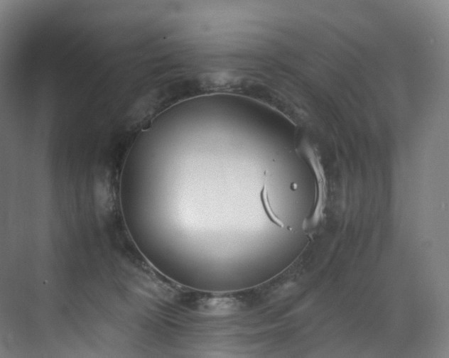 X0000075840324200609151311