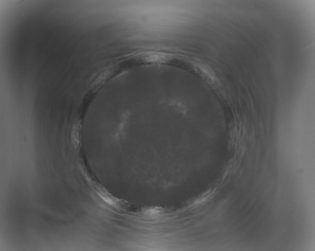 X0000075840325200609151311