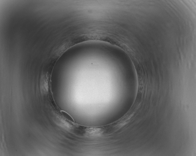 X0000075840334200609151311