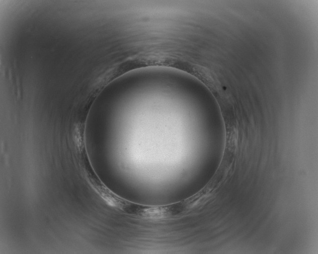 X0000075840335200609151311