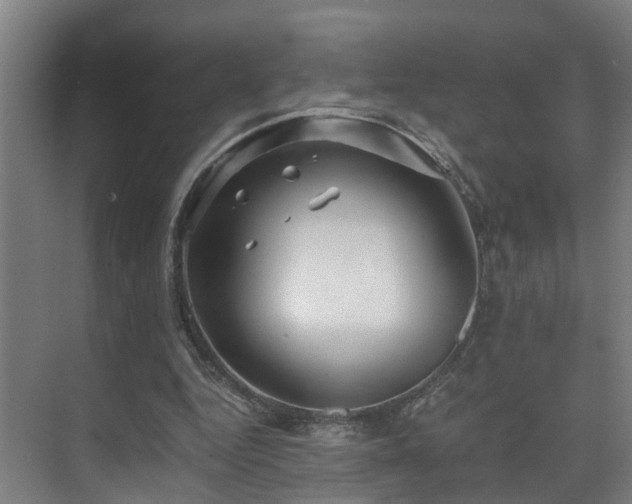 X0000075840344200609151310