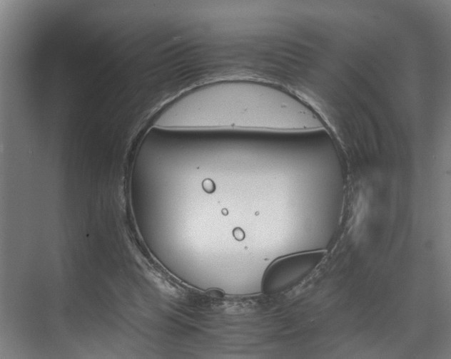 X0000075840345200609151310