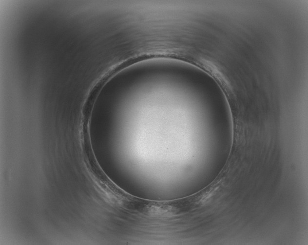 X0000075840346200609151310