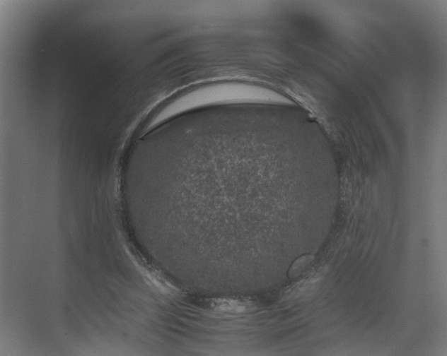 X0000075840347200609151310