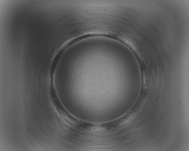 X0000075840348200609151310