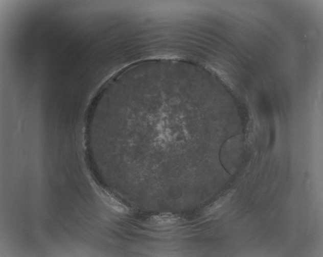 X0000075840351200609151310