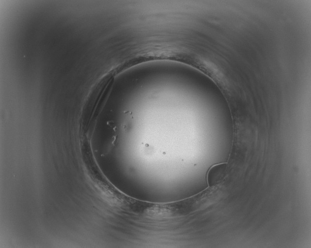 X0000075840354200609151310