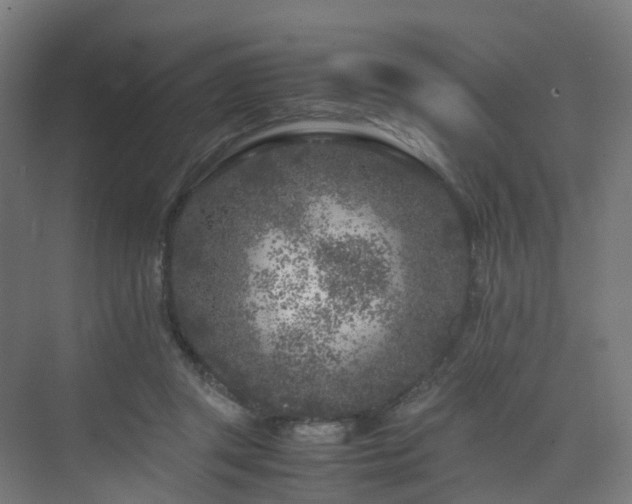 X0000075840357200609151310