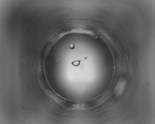 X0000075840362200609151310