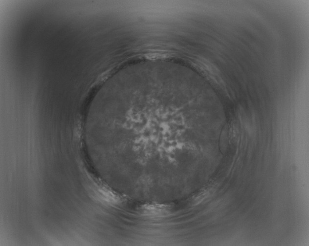 X0000075840367200609151310