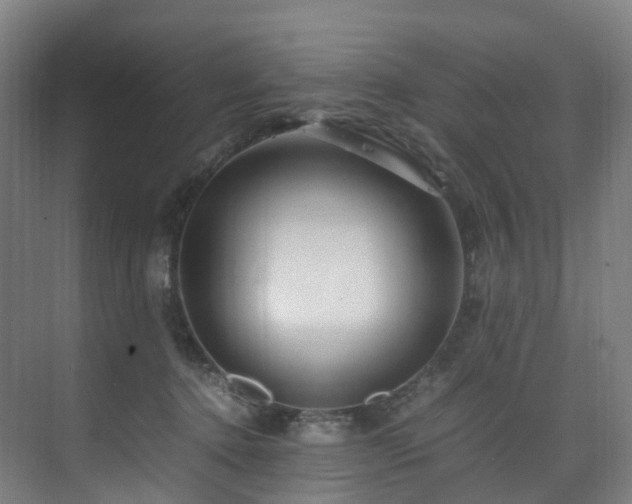 X0000075840368200609151310