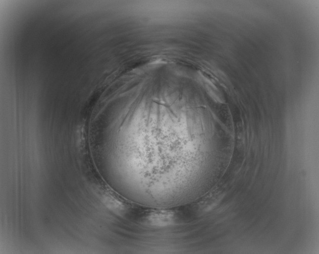 X0000075840369200609151310