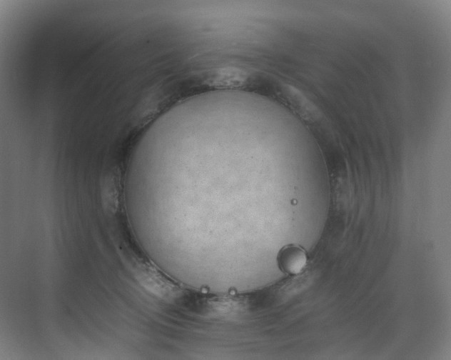 X0000075840370200609151310