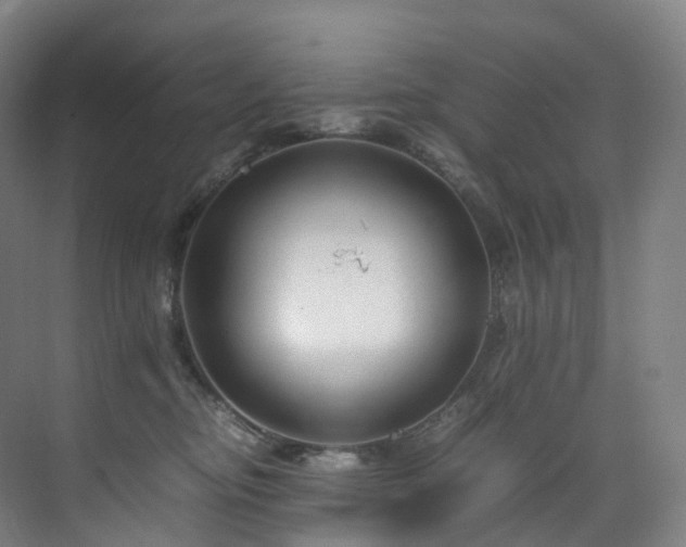 X0000075840374200609151311