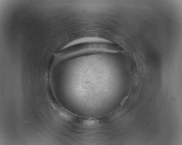 X0000075840375200609151311