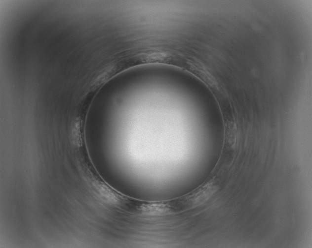 X0000075840378200609151311