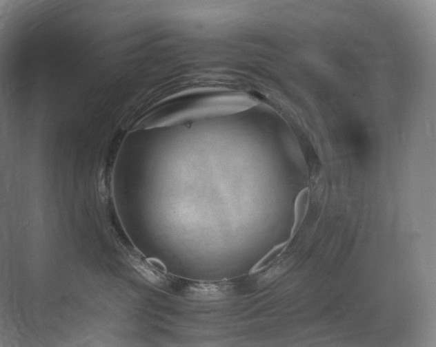 X0000075840381200609151311