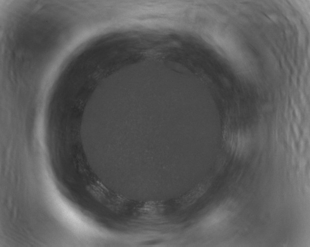 X0000075840383200609151311