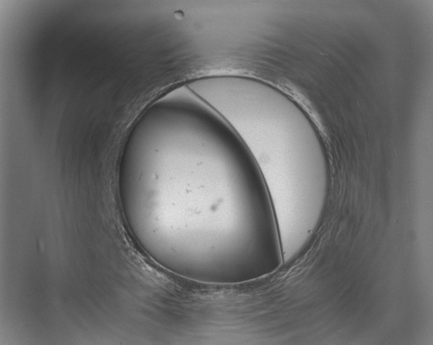 X0000075840385200609151310