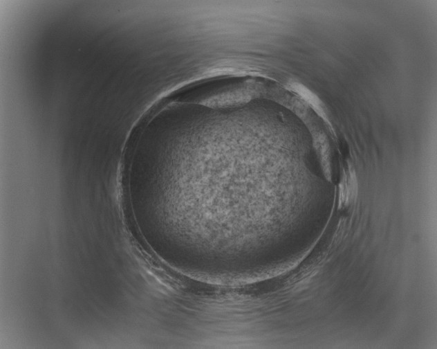 X0000075840387200609151310