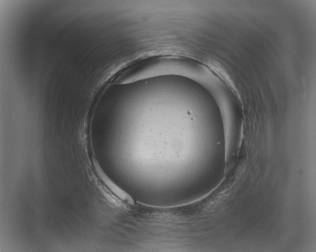 X0000075840389200609151310