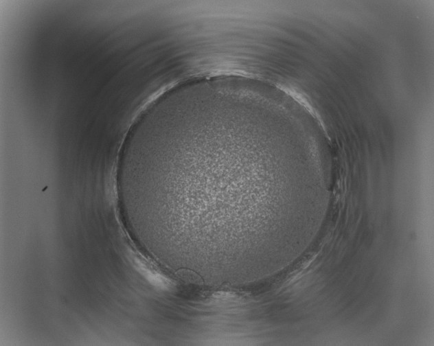 X0000075840390200609151310