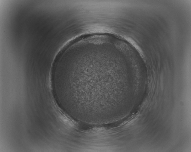 X0000075840391200609151310