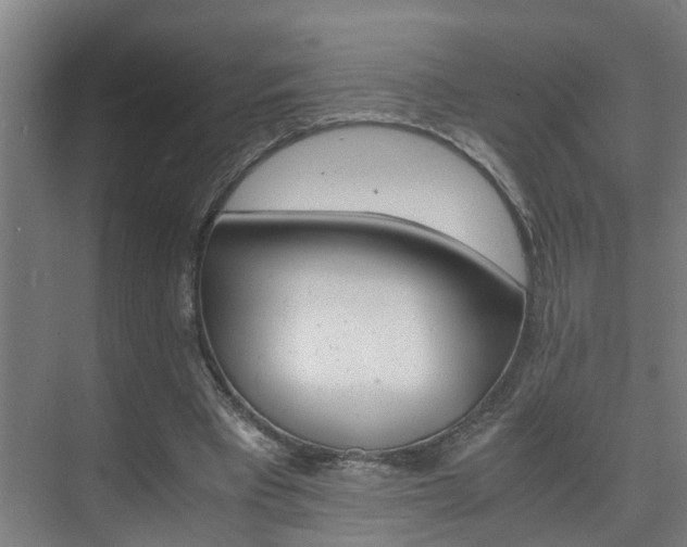 X0000075840393200609151310