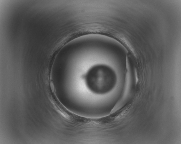 X0000075840397200609151310