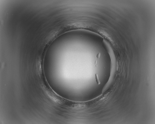 X0000075840398200609151310